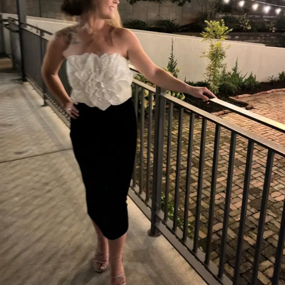 Badgley Mischka Black Velvet Rose Bodice Cocktail Dress SIZE 6 Designer $500 - Picture 9 of 13